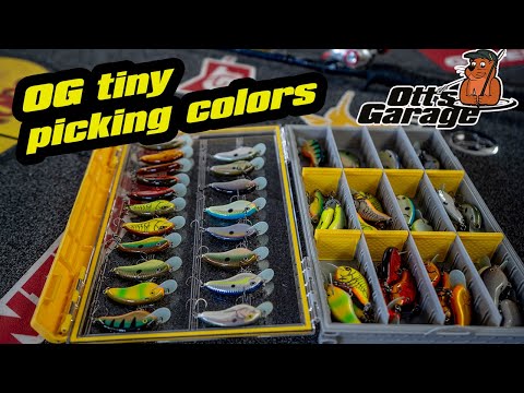 Видео: Гараж Отта | Выбор цветов для @Rapala OG Tiny