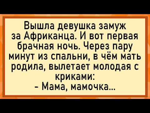 Видео: На стоны невесты сбежалась вся деревня! Сборник свежих анекдотов! Юмор!