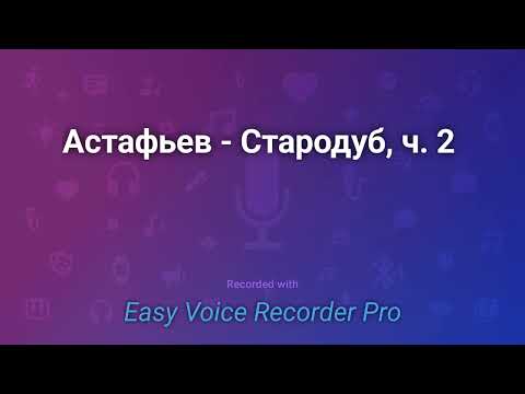 Видео: Астафьев   Стародуб, ч  2
