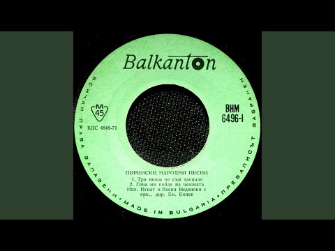 Видео: Китчице буйна лобода