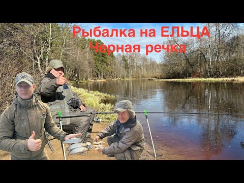 Видео: Клёв Ельца спустя 12 дней. Чёрная речка. Зеленогорск. Финский залив. #елец #рыбалка #лето #рецепты