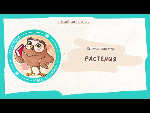Видео: Окружающий мир. Растения. Органы растений. Условия жизни растений. Группы растений