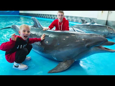Видео: Покатухи на ДЕЛЬФИНАХ...Эмоции ЗАШКАЛИВАЮТ!!!ДАРИМ🎁 отдых в "NEMO" для вас!!!