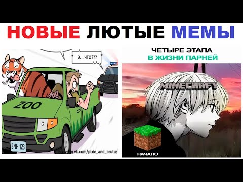 Видео: Лютые шортсы. Похищение тигра и МАЙНКРАФТ !