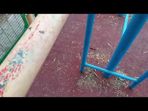 Видео: 58 день 