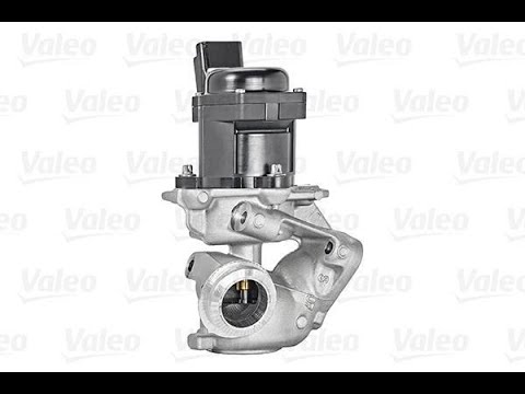 Видео: EGR Ford focus 1 6 Tdci чи варто глушити