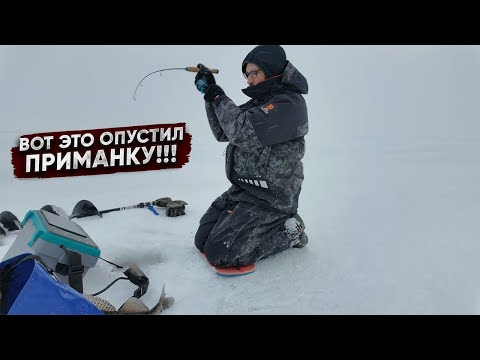 Видео: В огромной СТАЕ лещей ТЬМА СУДАКА! Обзор 62 датчика Panoptix - плюсы и недостатки!