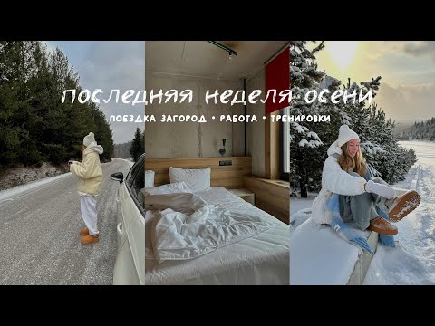 Видео: VLOG | идеальный отдых на природе | уехала одна в Петербург