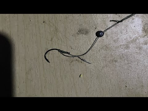 Видео: Рибалка на В'язівку . #карась #карпфішинг #карп #амур 