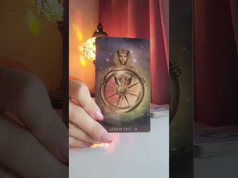 Видео: ✨Идва ли нов човек в живота ми✨