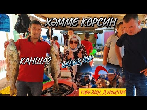 Видео: Шымбай базарында нелер болып атыр? Хамме көрсин! 22-сентябр Базар бахалары тамаша етемиз
