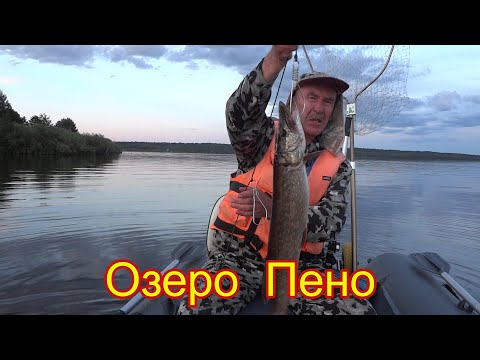Видео: Озеро Пено на Верхней Волге. Дорога до озера. Обзор полянки. Щука как вечерний бонус.