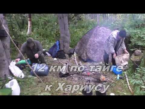 Видео: Речка в Тайге КИШИТ ХАРИУСОМ/ Рыбалка на Крупного Хариуса/ Ночёвка в ДИЧАЙШЕЙ ТАЙГЕ, таёжный БЫТ!!!