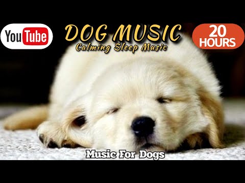 Видео: 20 часов любимой музыки собак🐶💖Музыка для сна собак 🐶🎵 Музыка для снятия беспокойства при разлуке🎵