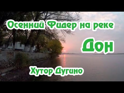 Видео: Хутор Дугино / Рыбалка на реке Дон / Ловля на Фидер / Сазан / Тарань / Осенняя рыбалка