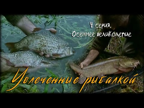 Видео: Увлеченные рыбалкой 4 серия. Осеннее великолепие / A Passion for Angling (1993)