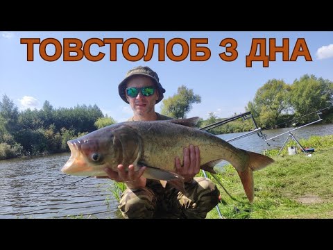 Видео: ОСЬ ЧОМУ НЕ КЛЮЄ КОРОП.