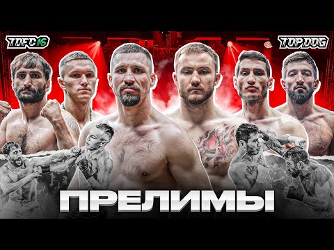 Видео: ПРЕЛИМЫ TDFC 16 | Мономах – Гвоздь, Psycho – Ошаканец, Савин – Етумян, F1 – Пулемет, Гриф – Король