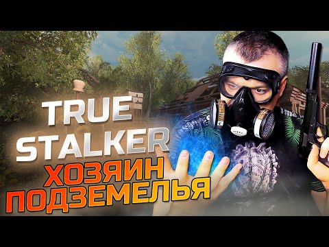 Видео: ХОЗЯИН ПОДЗЕМЕЛЬЯ ➖ True Stalker ➖ Серия 8