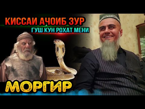 Видео: АНА КИССАИ ЗУР ГУШ КУН РОХАТ МЕНИ КИССАИ МОРГИР! ДОМУЛЛО АБДУРАХИМ 2022