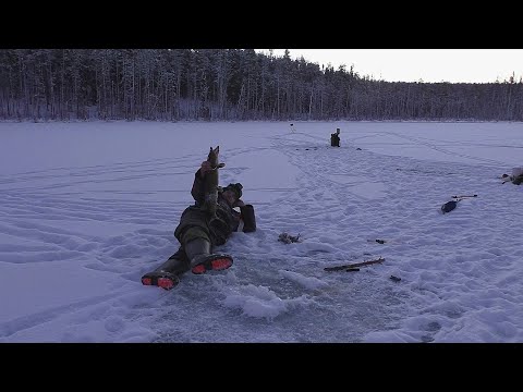 Видео: РЫБАЛКА НА ТАЁЖНОМ ОЗЕРЕ! БОРЬБА С ЗУБАСТОЙ ЩУКОЙ! #таёжныйпромысел #рыбалка #тайга #природа