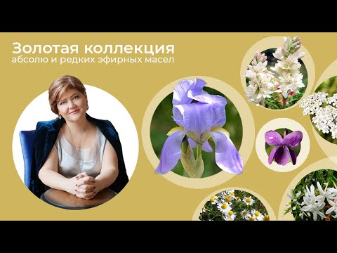 Видео: Золотая коллекция абсолю и редких эфирных масел. Часть 3