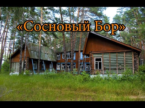 Видео: Заброшенный лагерь «ЮНОСТЬ» и «СОСНОВЫЙ БОР»