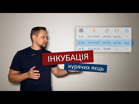 Видео: Інкубація курячих яєць / Режим інкубації по днях