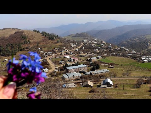 Видео: Քեֆ Անողի Քեֆը Չի Պակասի-Մաքուր Օդ-Խորոված Ու Մի փունջ Մանուշակ- Шашлык на природе-Чистый Воздух