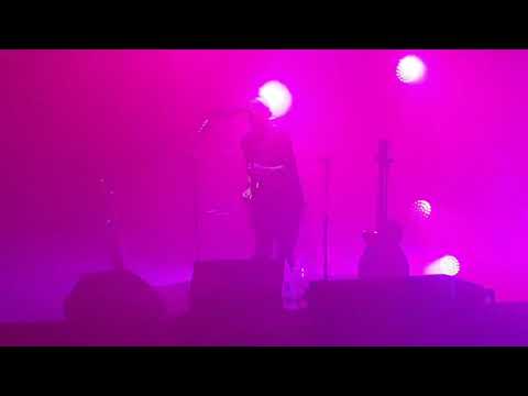 Видео: Звери Котёнок