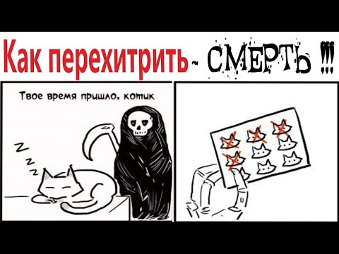 Видео: ПРИКОЛЫ! КАК ПЕРЕХИТРИТЬ - СМЕРТЬ!!! Угарные МЕМЫ, смешные истории от Доми шоу