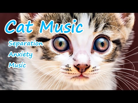 Видео: 3 ЧАСА музыки Sweet Cat Dreams. Усыпите кошку под эту музыку!, Музыка для спящего кота