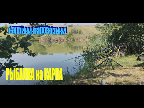 Видео: РЫБАЛКА на КАРПА. КАРПИКИ-ПАРОВОЗИКИ, но не все так однозначно