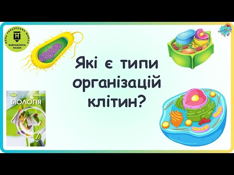 Видео: Які є типи організації клітин