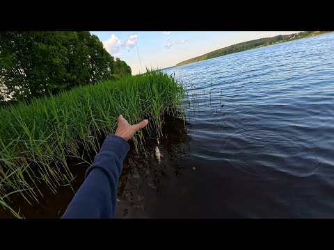 Видео: vl.1 Рыбалка на Дубне