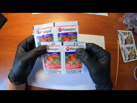 Видео: КВАДРИС: как отличить оригинал от подделки?  главных признаков!