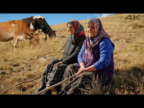 Видео: Возвращение в нагорья: Сезон возвращения | Документальный фильм