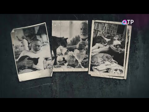 Видео: Эрнест Хемингуэй. «Свет и тени» - программа Леонида Млечина