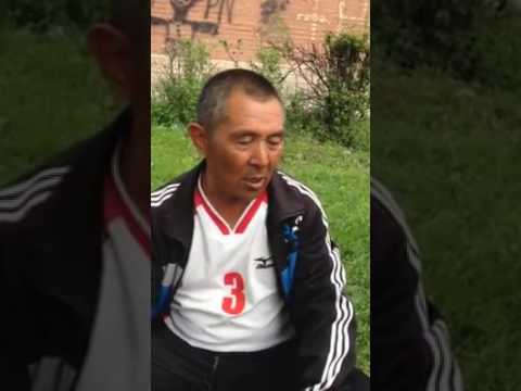 Видео: Кунг фу чымын