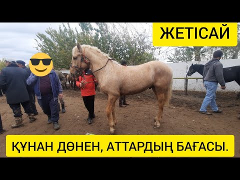 Видео: Жетісай мал базары 27.10.2022ж ҚҰНАН, ДӨНЕН, АТТАРДЫҢ БАҒАСЫ.
