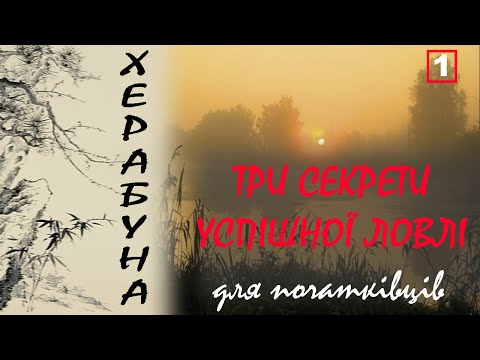Видео: Херабуна для початківців.  Частина 1