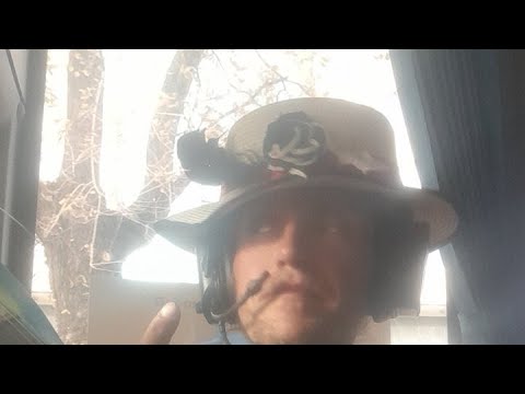 Видео: Автобус и живая гитара #стрим #stream