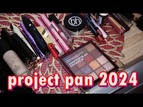 Видео: ✅PROJECT PAN 2024➡️ 1й отчёт, результаты, расхламление