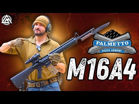 Видео: PSA сделала мою служебную винтовку! | M16A4