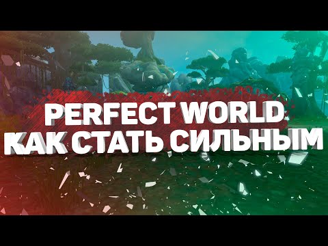 Видео: КАК ПОДНЯТЬ ПЛАНКУ АТАКИ В PERFECT WORLD? 13 ЛУЧШИХ СПОСОБОВ