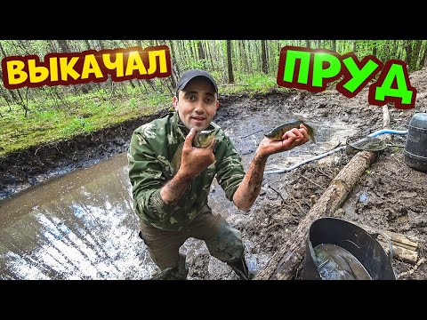 Видео: Выкачал помпой лесной пруд. Афигеть сколько было рыбы. Зарыбляю большой пруд.