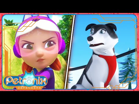 Видео: Петроникс | 🌎 Сборник 10 🐾 | Сезон 1