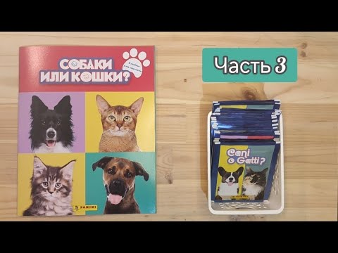 Видео: Собаки или кошки: часть 3. Собираем коллекцию наклеек