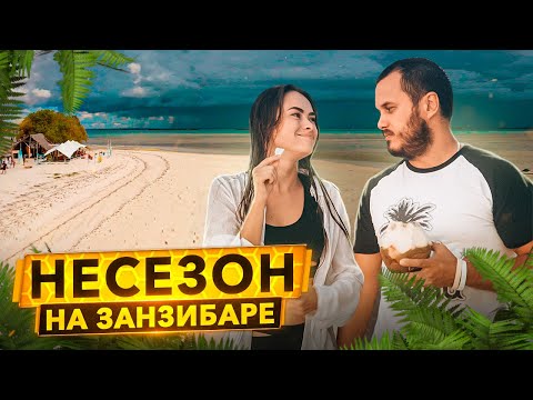 Видео: НЕСЕЗОН НА ЗАНЗИБАРЕ \ Safari Blue \ Финал