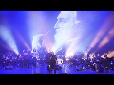 Видео: Серенада Трубадура. Юрий Барков